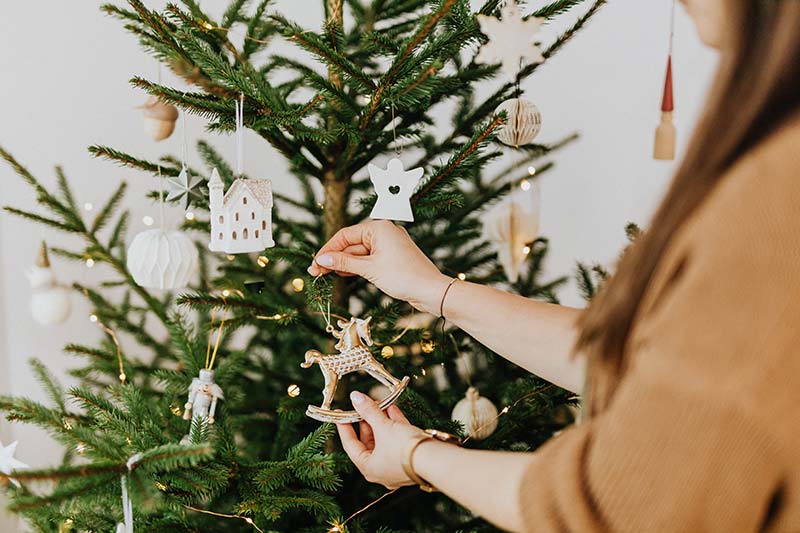 kerstboom_gemeente_emmen